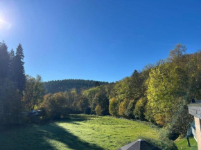 EL MIRADOR - FERIENWOHNUNG NÄHE NÜRBURGRING - Eifel - Ahr - Rhein - RENOVIERT